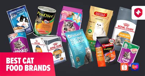 best cat food brand in philippines|10 Best Cat Foods in the Philippines 2024 .